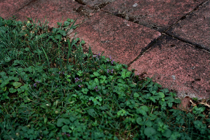 Tiles and Grass